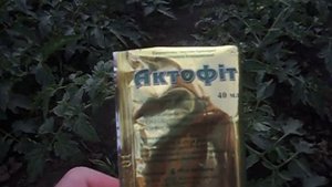 Актофит. Особенности использования и применения