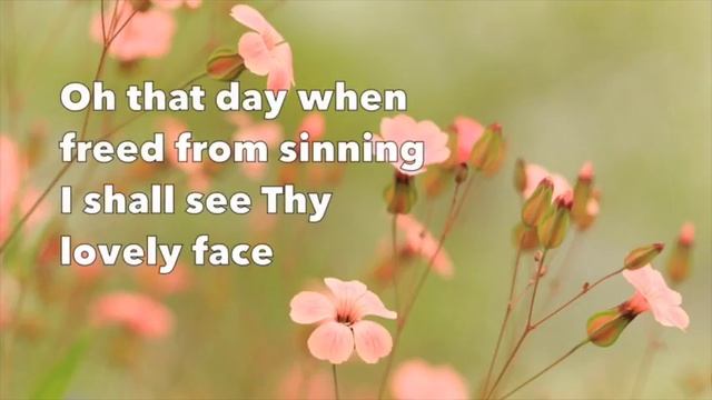 Come Thou Fount of Every Blessing - Chris Rice (worship song with lyrics) смотреть онлайн