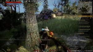 Гайд. Black Desert. Спот для сбора мяса сурка, козы и кабана.