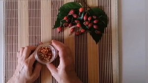 ГОТОВИМ МАСЛО ИЗ ПЛОДОВ ШИПОВНИКА. МАСЛО ШИПОВНИКА В КОСМЕТОЛОГИИ