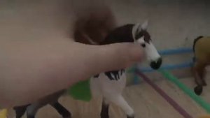 Обзор майей конюшни для лошадей.Бульдожка ТВ