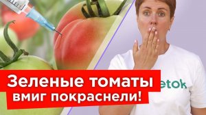 СОБРАЛИ ЗЕЛЕНЫЕ ПОМИДОРЫ? Всего 5 мл этого доступного продукта заставит все томаты быстро покраснеть