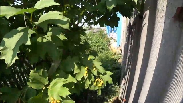 Сделал ремонт фасада,обновил  дом в деревне.