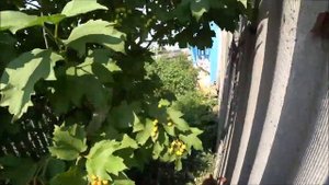 Сделал ремонт фасада,обновил дом в деревне.