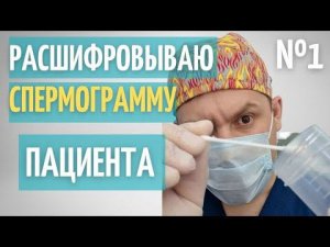 Сперматозоиды человека // Расшифровка спермограммы пациента // №1