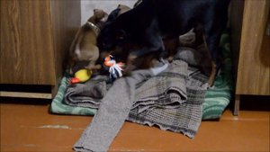 Мама,папа,я веселая семья