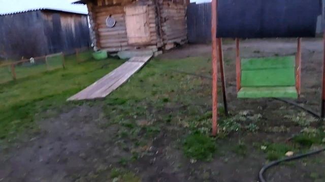 Подготавливаюсь к заморозкам ? Устала Что ли!? 26.10.23 смотреть онлайн