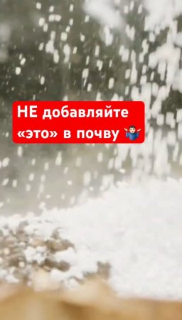 «Удобрять» этим сад - большая ошибка!