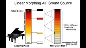 Casio Celviano AP220.mov