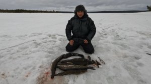 ЗИМНЯЯ РЫБАЛКА В МАРТЕ НОЧЬЮ
