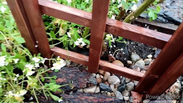 Моя любимая Дача 24 апреля 2023 г./ Мой маленький сад весной/ Вошла во вкус смотреть онлайн