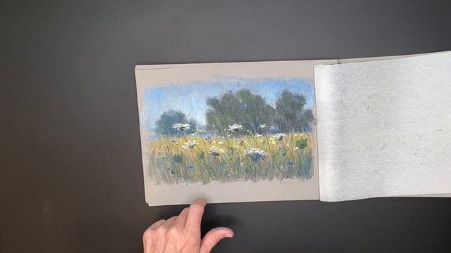NEW Beginner Products for Pastel Painting - Get Started for Less then $100 смотреть онлайн