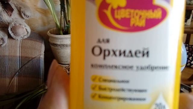 Цимбидиум. Уход в домашних условиях. смотреть онлайн