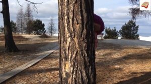 Добро пожаловать в сказку. Морозко приглашает.