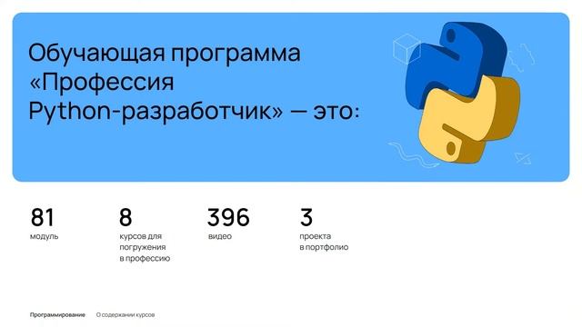 Основные элементы Python. Интенсив по программированию смотреть онлайн