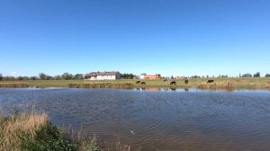 В ЧЕРНОЛУЧЬЕ за карасем. Рыбалка в Омской области.