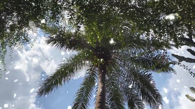 НОВОГОДНЕЕ ПОЗДРАВЛЕНИЕ ШКОЛЕ ВИДЕО АЛЕКСЕЯ РАДОНЕЦ смотреть онлайн