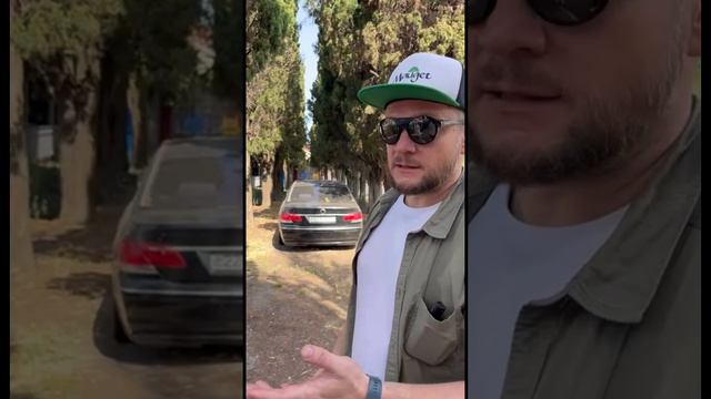Противостоим лубоеду на кипарисах в Адлерском парке культуры и отдыха
