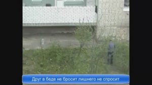 Друг в беде не бросит лишнего не спросит