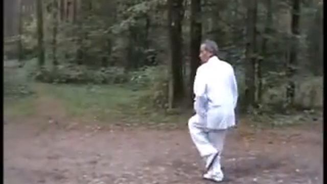 Синъицюань,Шиэр син. Xingyiquan (形意拳), Shí'èr xíng (十二形)