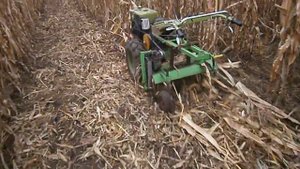 Як81+измельчение кукурузы мульчером.AVI