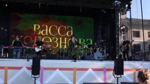 Васса Железнова - Птица которой не дали зерна