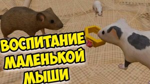 СИМУЛЯТОР МЫШИМышонок вырос Ухаживаю за питомцем