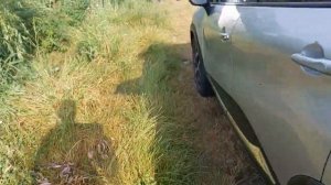 рыбалка на канале в курчанской