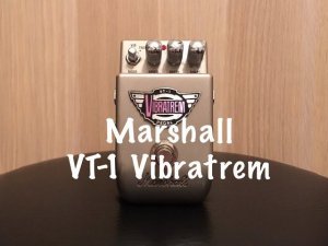 MARSHALL VT-1 VIBRATREM