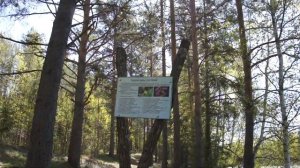 экотропа "Горная Мста"