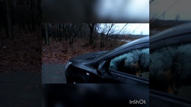 Ravon R 4 первые впечатления))) смотреть онлайн