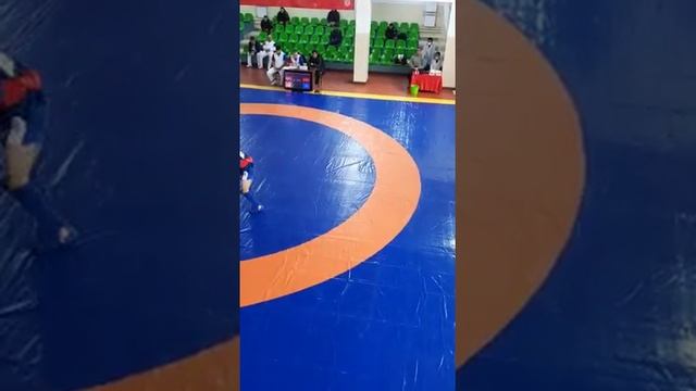 самбо 2021 смотреть онлайн