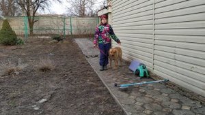 Как научить собаку прыгать через барьер