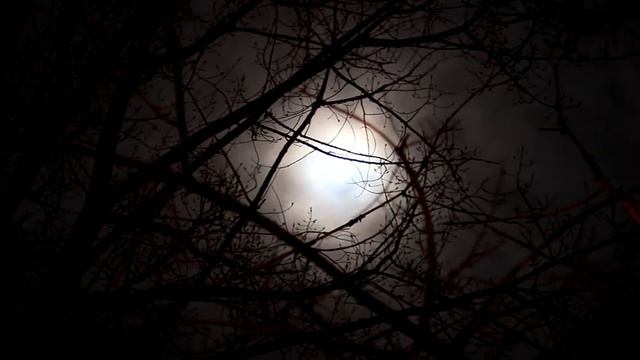 Смертельный Спор смотреть онлайн