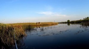 Ловля на снасть "Перетяга" с плотика Ондатра