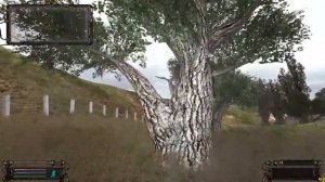 S.T.A.L.K.E.R. Тайник Кузнецова на Агропроме на дереве в очаге радиации
