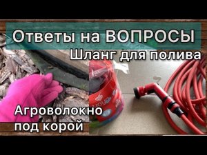 Борьба с сорняками. Идеальный шланг для полива