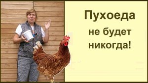 Обработка и дезинфекция курятника по новому