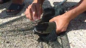 Черногория. Рыбалка в Которской бухте