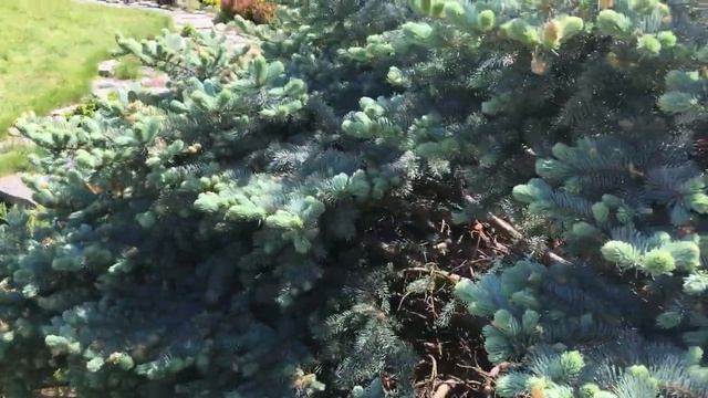 Ландшафтный дизайн своими руками: полезные советы смотреть онлайн