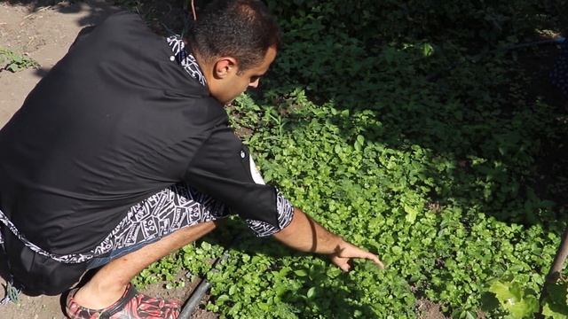 КАЗАН-КЕБАБ НА КОСТРЕ. РЕЦЕПТ ВКУСНОЙ БАРАНИНЫ. ШАШЛЫК В КАЗАНЕ.