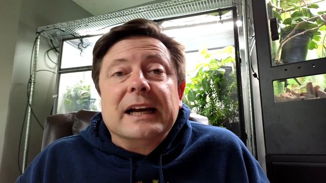 How I Quarantine a Chameleon смотреть онлайн