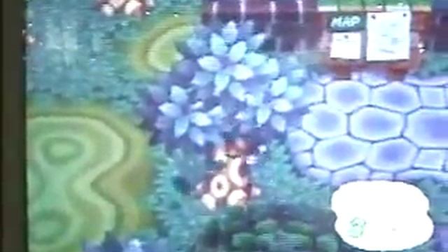 Doubutsu no Mori Nintendo 64 Gameplay смотреть онлайн