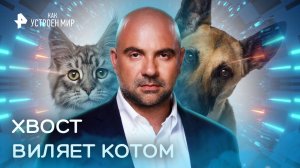 Хвост виляет котом — Как устроен мир с Тимофеем Баженовым (22.11.2022)