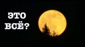 #87. Первые посадки. Последнее видео. [Жизнь на своей земле]