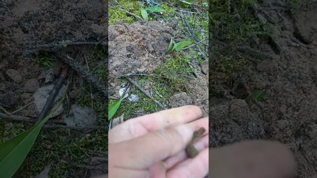 ТРЕТИЙ С УЧАСТКА! МЕТАЛЛОПЛАСТИКА 17-го ВЕКА!? смотреть онлайн