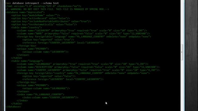 Spring Roo example reverse engineer from MySQL смотреть онлайн