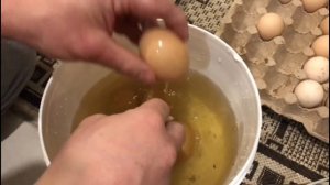 Потомство от своих Бройлеров. Третье поколение. Моем, чистим, закладываем инкубационное яйцо