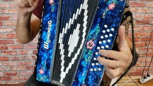 Ой ты травушка Сектор РАЗБОР на гармони