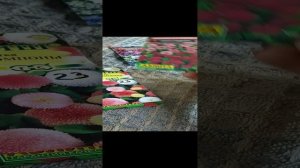 Садовые цветы. Обзор семян.